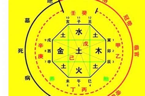 忌木|八字中的五行木该如何理解 八字五行木旺的人忌讳什么